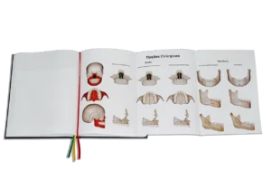 Orthológica – Soluções Ortodônticas Lógicas pagina livro 4